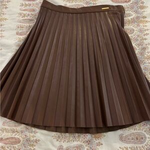 Brown Pleated Skirt
